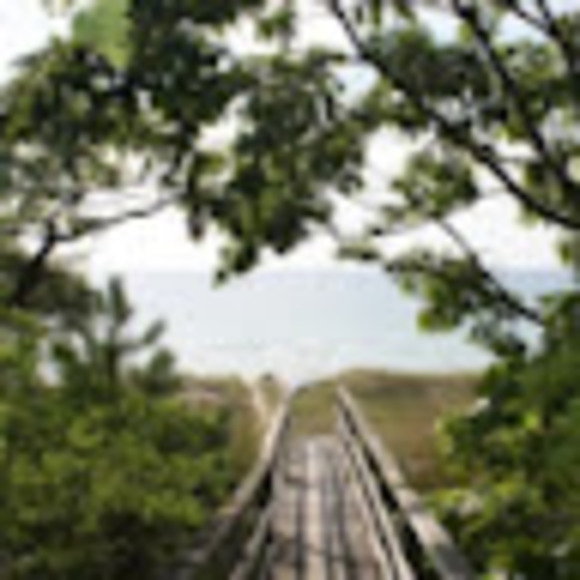 Meet your Posher, Deborah - Picture 1 of 1